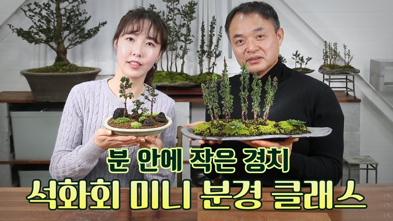[4월 오픈] 석화회 미니 분경 클래스, “작은 화분 안에 동양화 담기”│4가지 합식법 공개!!