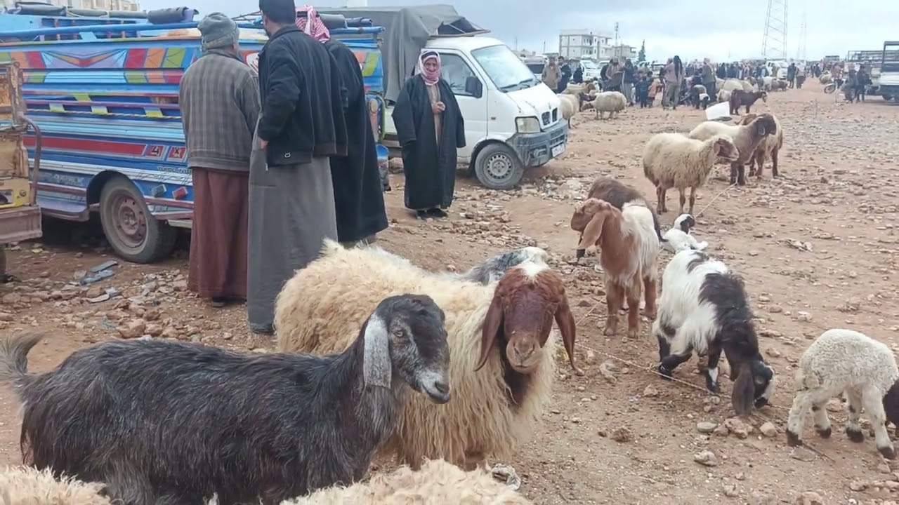 ١٢ ديسمبر ٢٠٢٥