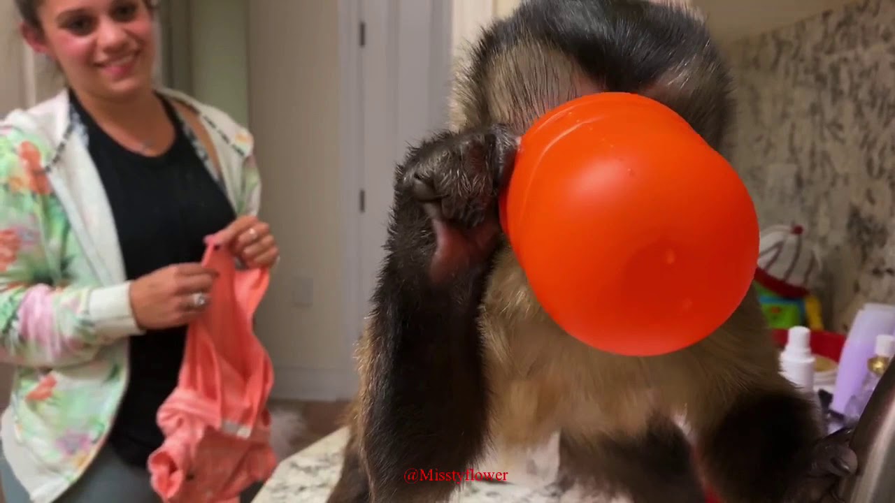 Monkey Russel & silly sister’s new episode, hope you enjoy it! 😂😂😂👍🏻🐒❤️