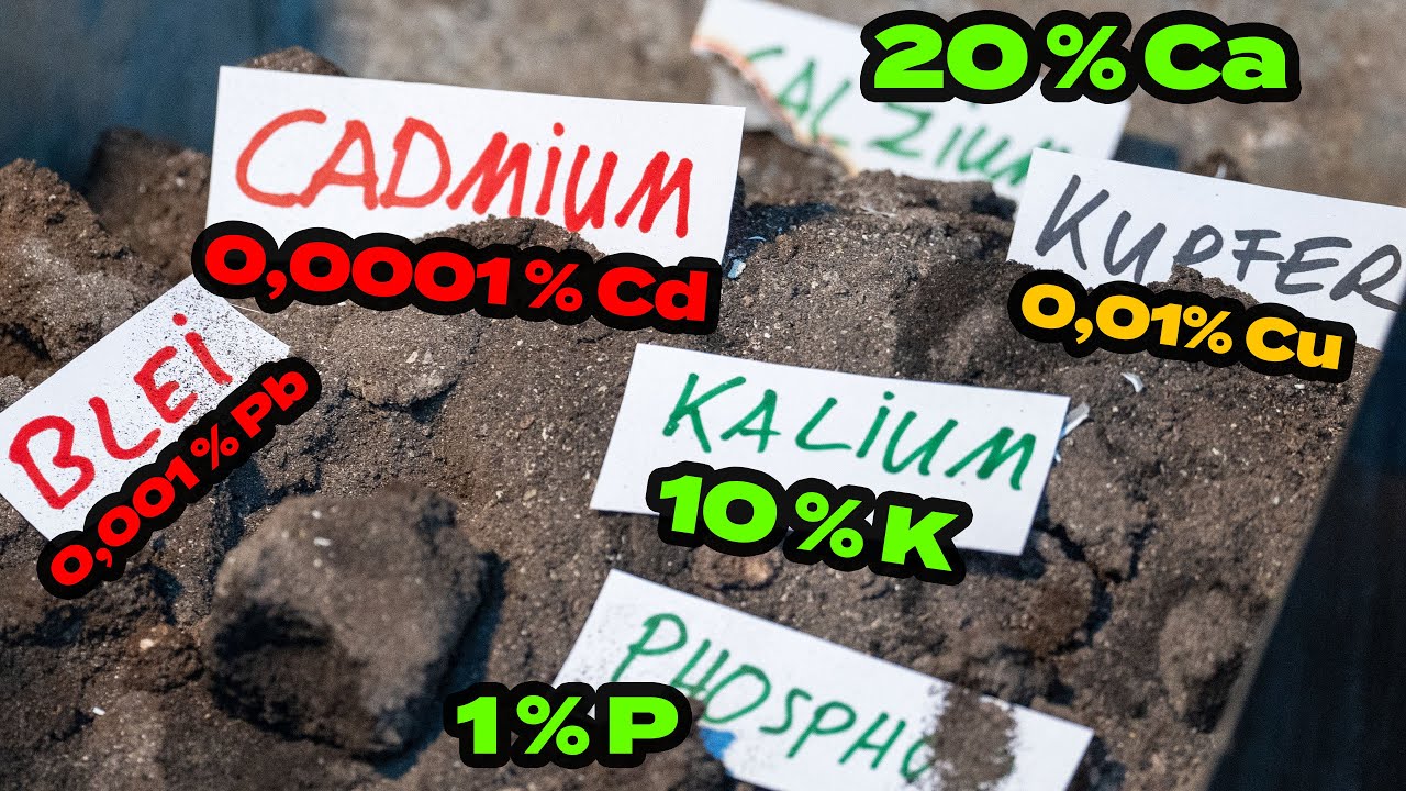 Holz-Asche ist Dünger mit 0,0001 % Cadmium !