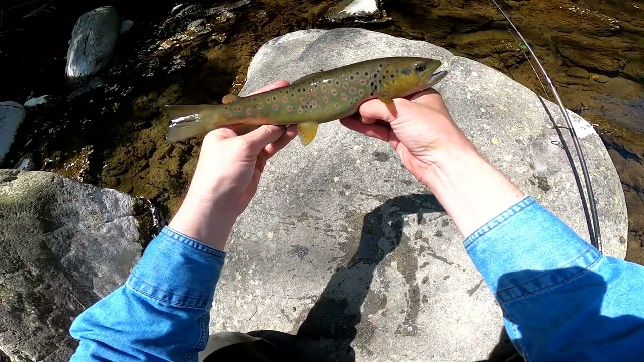 Trota torrente: due giornate di maggio