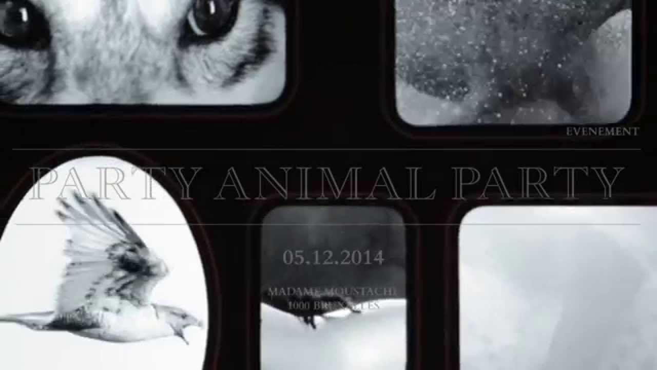 PARTY ANIMAL PARTY for MEMOIRE UNIVERSELLE