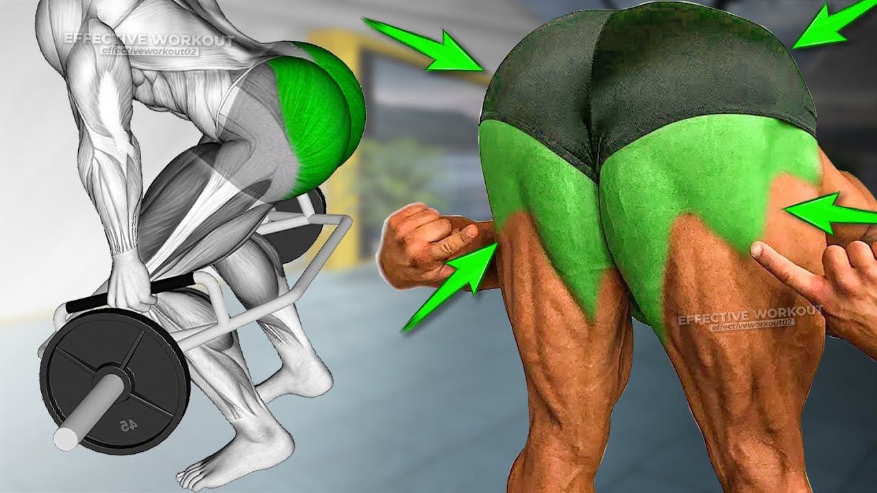 6 Best Exercise Glutes Workout - Effective Exercise