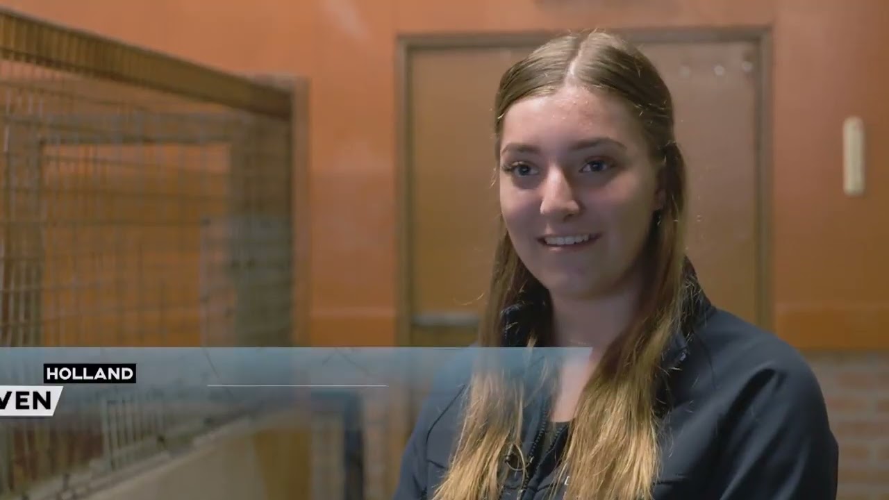 Een korte impressiefilm over ons pension