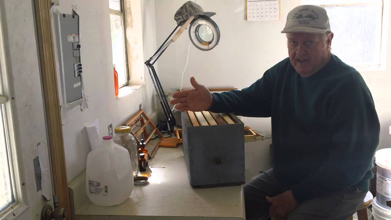 HOW=TO=SET UP BAIT BOXES