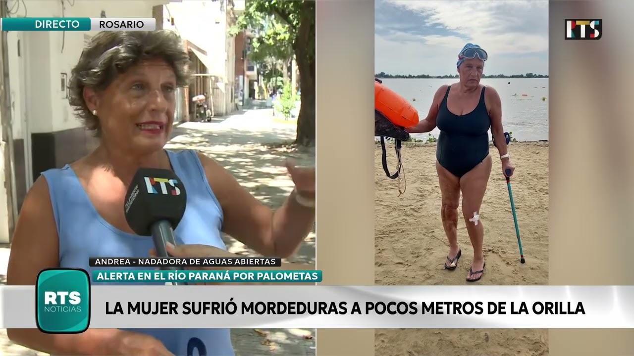 ATAQUE DE PALOMETAS EN EL R&Iacute;O PARAN&Aacute; | NADADORA SUFRI&Oacute; MORDEDURAS MIENTRAS ENTRENABA EN ROSARIO