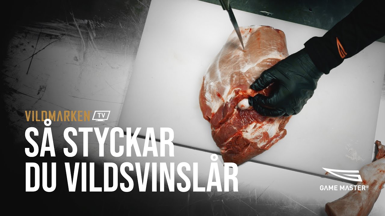 Så styckar du vildsvinslår – med Game Master Pro