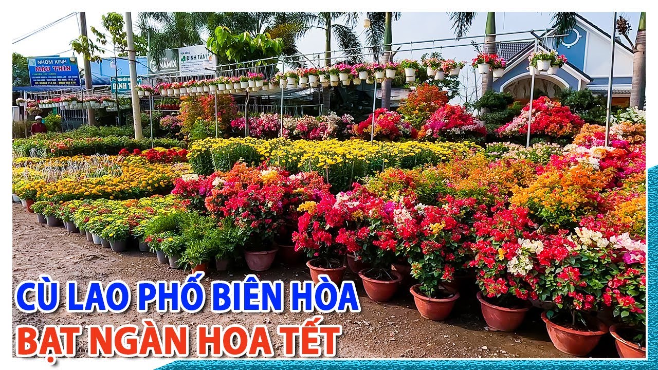 Cù lao phố Biên Hòa bạt ngàn hoa Tết | Xuân Giáp Thìn 2024