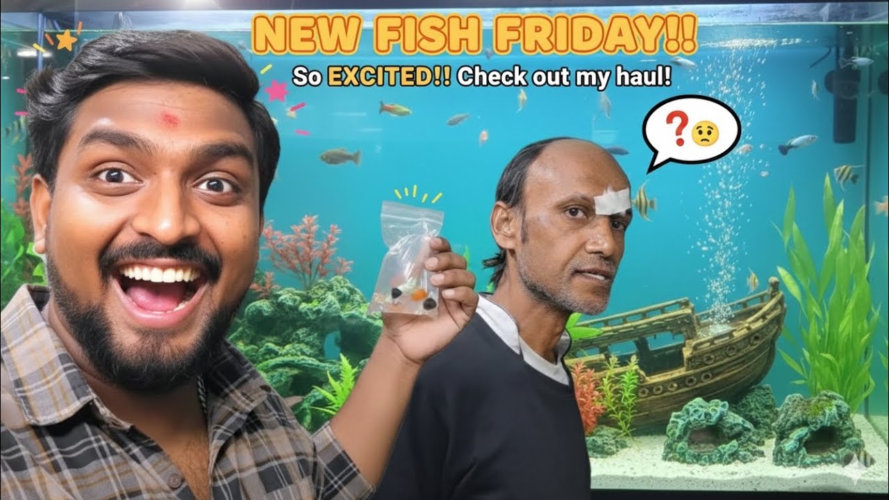 Visiting  fish shop near Naskarpara (very cheap rate ) ♥️♥️🐟🐟|| vlog-34|| #dailyvideo #youtube #vlog