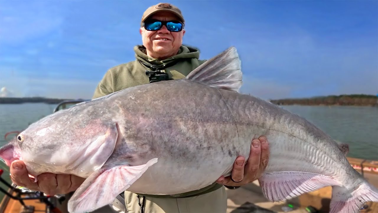 This Catfish Bait for the Big Catfish
