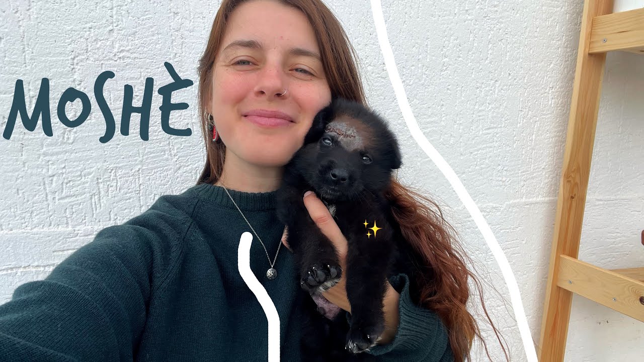 L’HANNO ABBANDONATO! Vi presento MOSHE'🐶