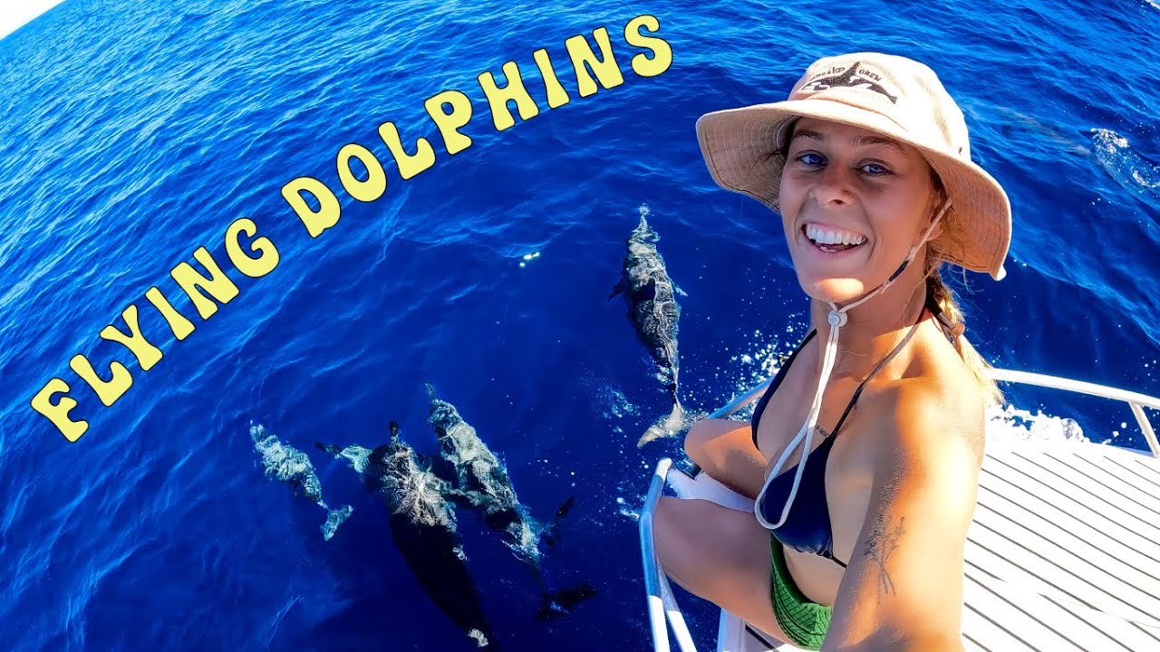 DEEP SEA FISHING FOR RUBY SNAPPER | 1000 DOLPHINS - Ep. 56