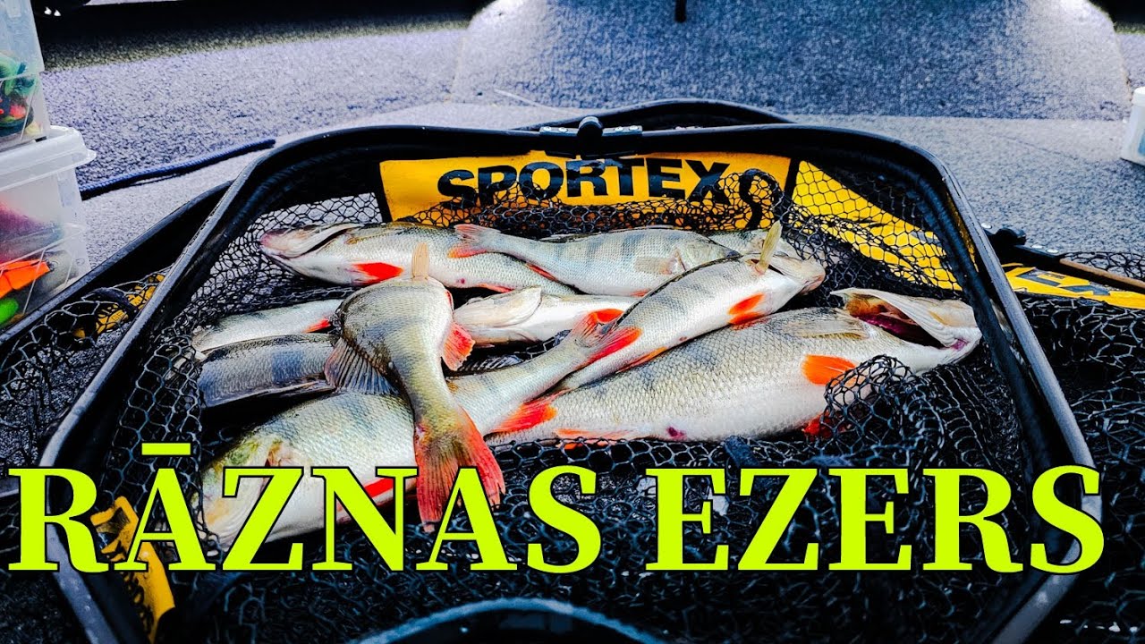 Rāznas ezers.