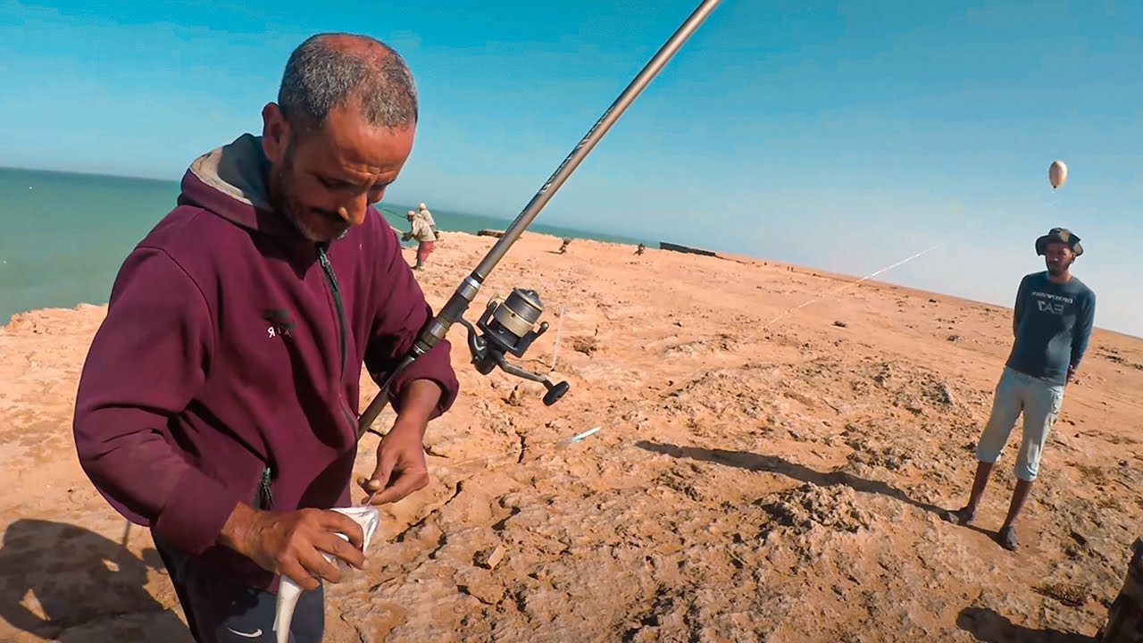 صيد سمك  أبلاغ في الفارو