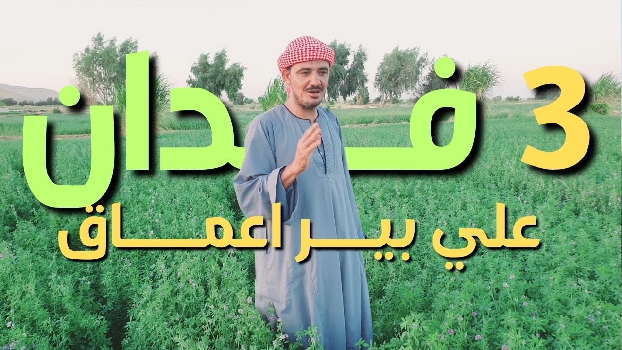 للبيع 3 فدان مزروعين برسيم حجازي ارض زراعيه للبيع