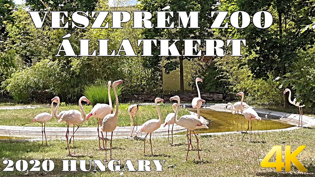 VESZPRÉM ZOO- ÁLLATKERT - 4K - Kittenberger Kálmán Zoo and Botanical Garden