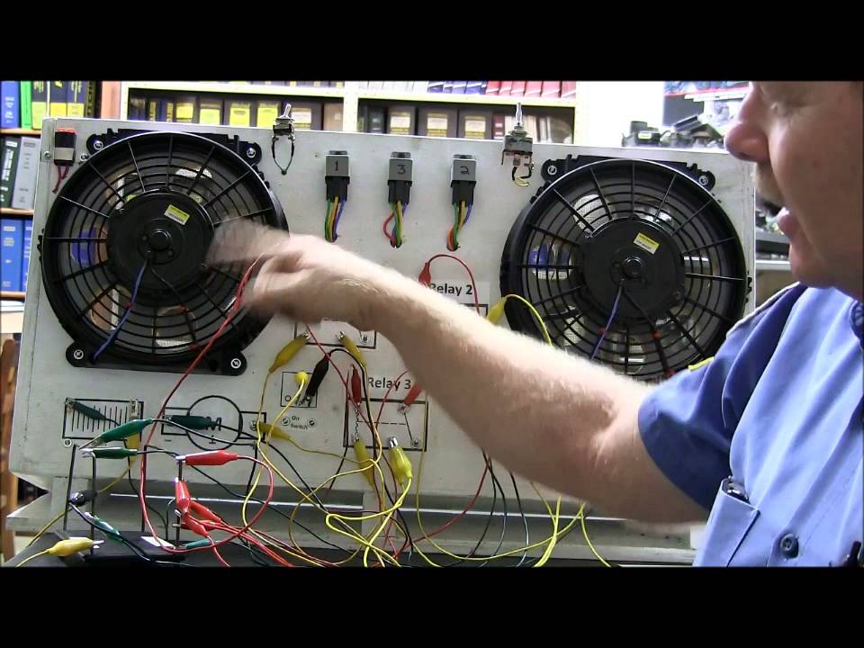Dual Fan Video