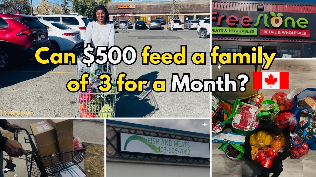 How Much Groceries Cost in Canada 🇨🇦 | $500 Monthly Family Grocery Haul!