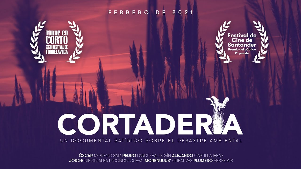 Cortaderia
