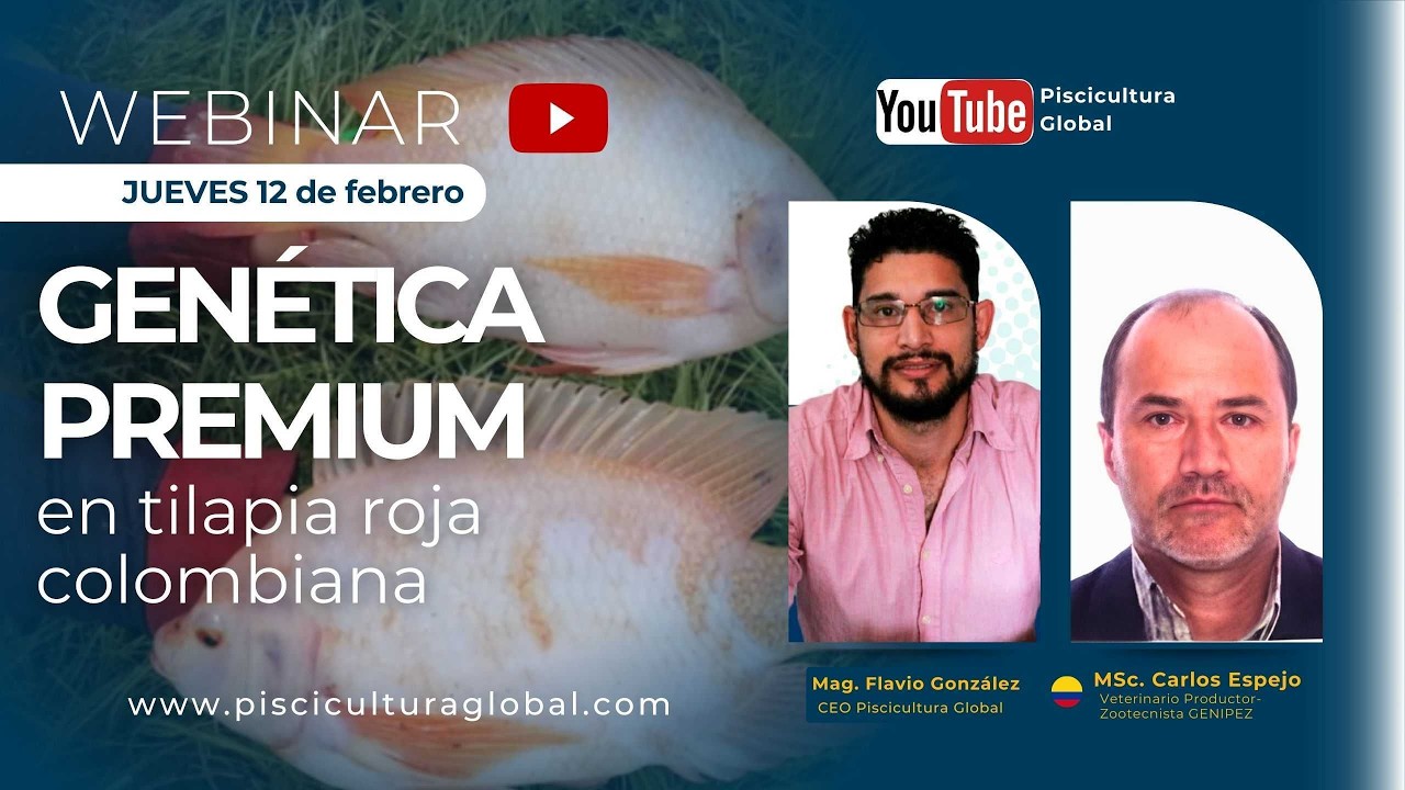 GENETICA PRIMIUM EN TILAPIA ROJA