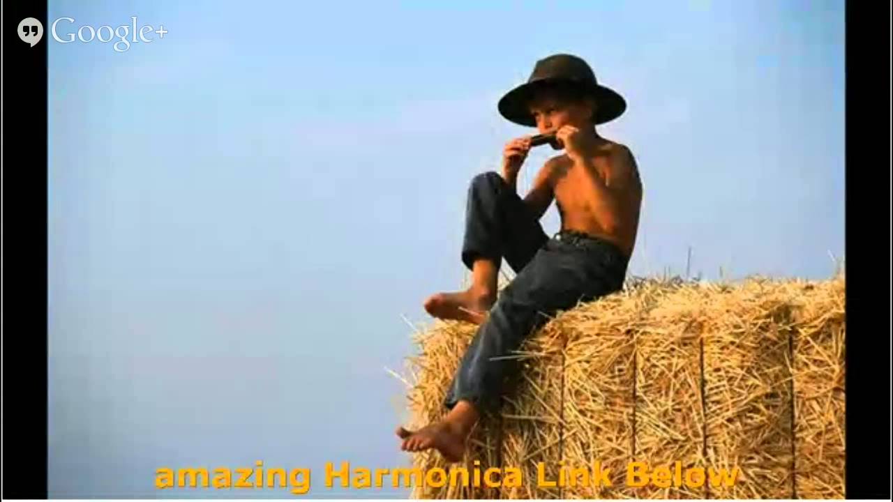 amazing Harmonica See This Video amazing Harmonica