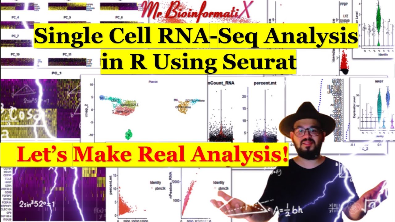 Анализ одиночных клеток RNA-Seq в R с помощью Seurat | Биоинформатика для начинающих