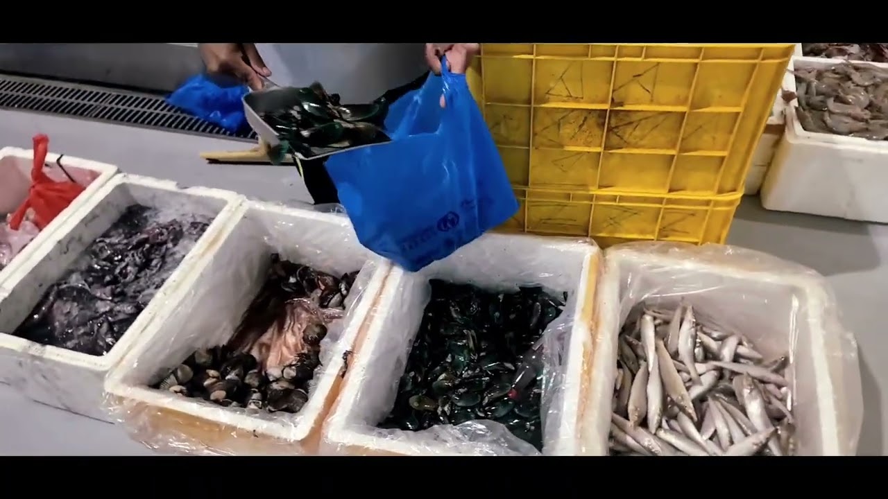 WATERFRONT MARKET DUBAI   ദുബായ് ഫിഷ് മാർക്കറ്റ് 