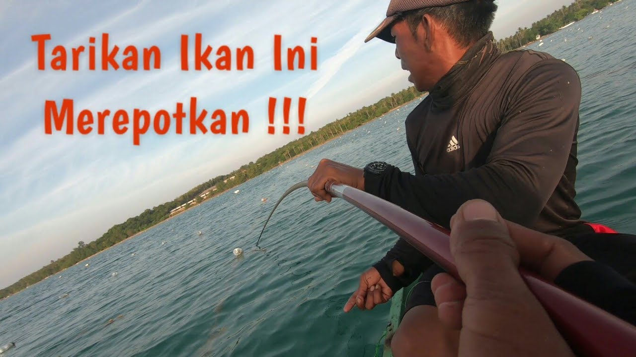 Harus Kuat !!! Terpaksa Harus Pakai Tangan Dua Untuk Menghadapi Perlawanan Ikan Ini