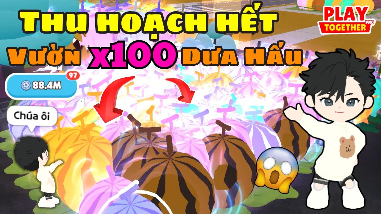 Play Together | Mình Đã Thu Hoạch Hết X100 Dưa Hấu Khổng Lồ Để Chinh Phục Huy Hiệu Vàng Và Cái Kết