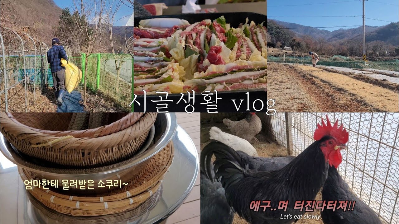 ENG 시골생활 vlog💐사람도 동물도 봄을 기다리는 겨울날의 시골일상
