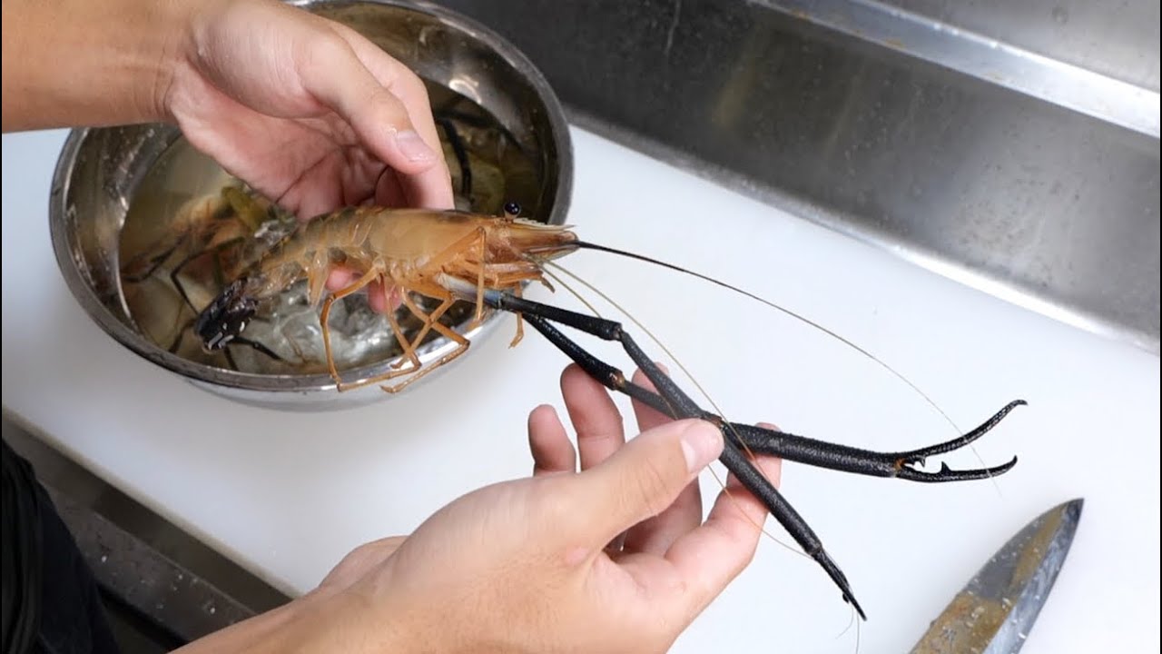 島に生息する巨大なテナガエビを捕まえて最高の料理に
