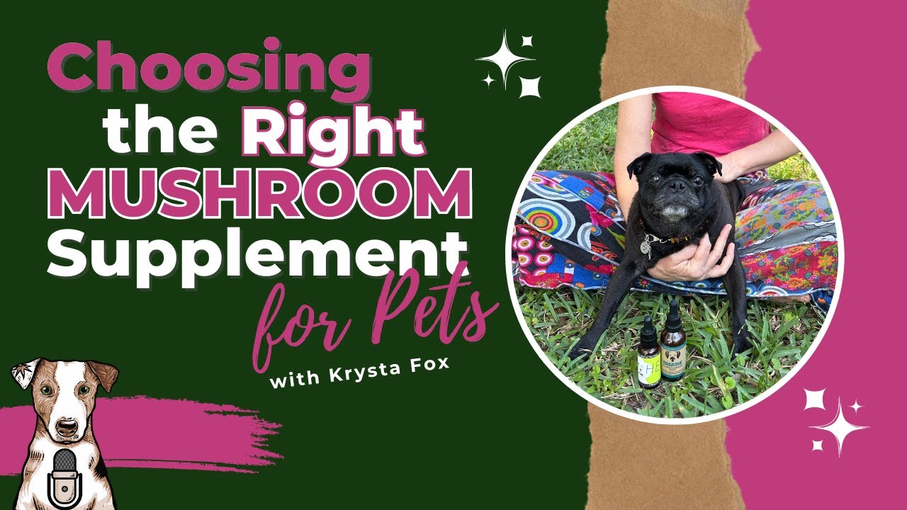 Choosing the Right Mushroom Supplement for Pets with Krysta Fox of Pug & Hound Pet Apothecary