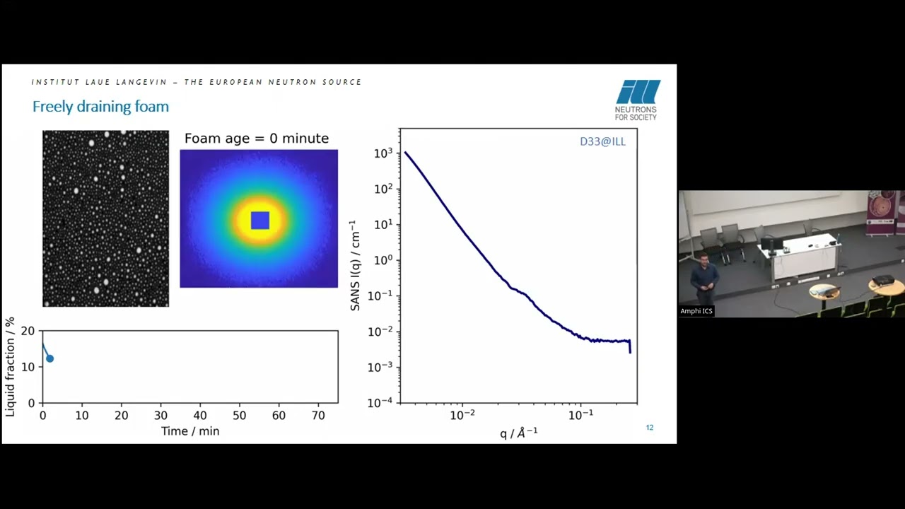 Leonardo Chiappisi - Looking into Foams and Liquid Interfaces by Scattering Methods