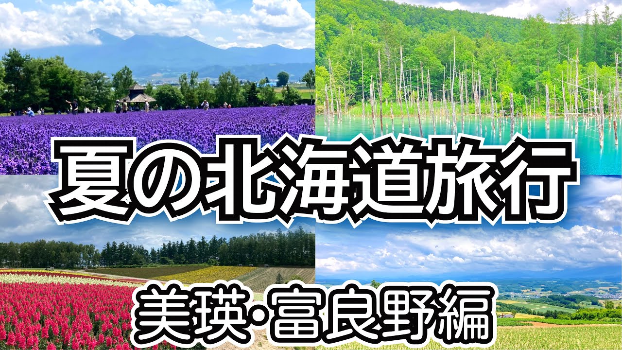 【夏の北海道旅行　観光周遊バス びえい号で気軽に美瑛•富良野を満喫】　ふらのバス乗車記   （JR北海道旅行ツアー2024）