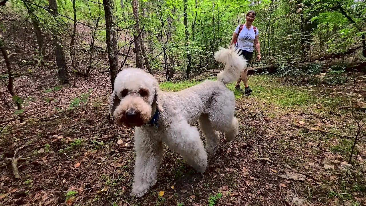 Zu dritt den alten Geistern folgend