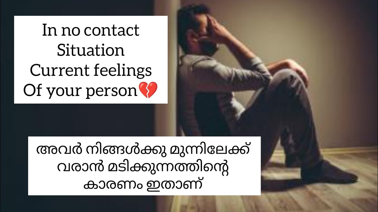അവർ നിങ്ങളോട് ചെയ്തതിൽ പശ്ചാത്തപിക്കുകയാണ് 💔in no contact situation current feelings of your person🥰