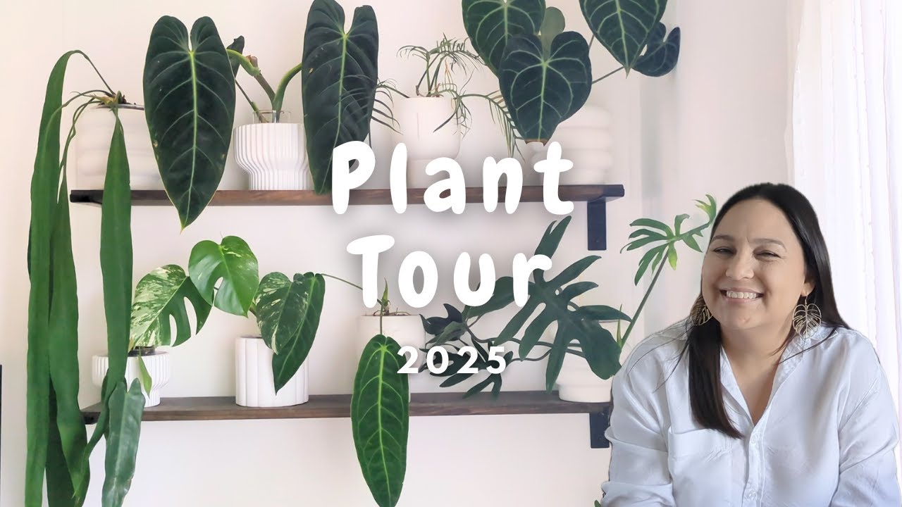 Relaxing Plant Tour