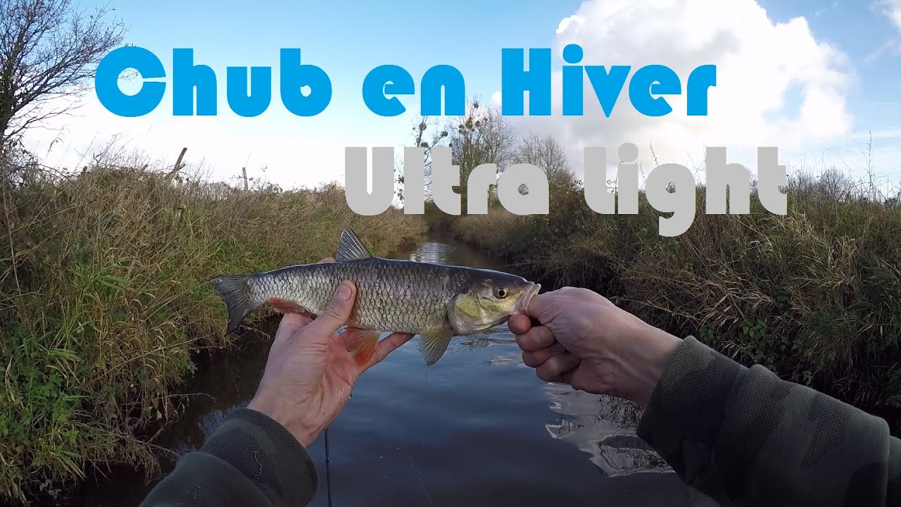 Chevesne en Hiver | Ultra Light | Peche au Leurre | HD