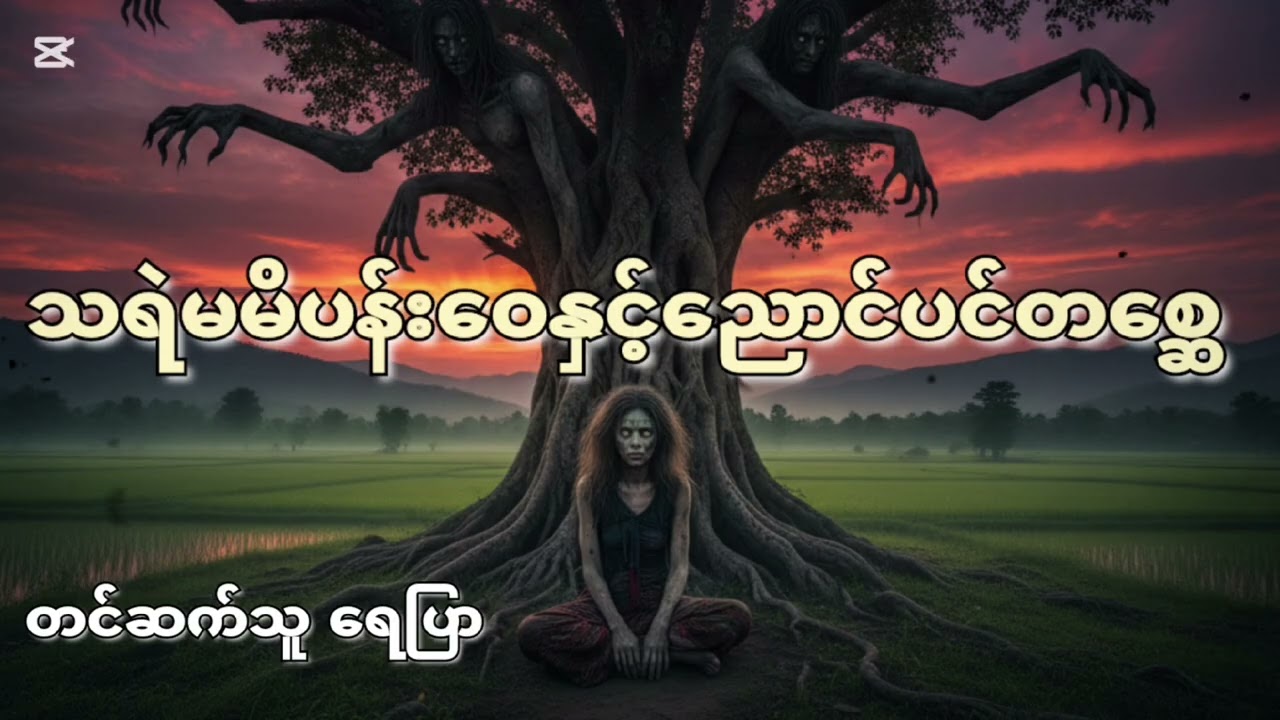 #ဧကန်မင်း#သရဲမမိပန်းဝေ#ညောင်ပင်တစ္ဆေ#သရဲတစ္ဆေအသံဇာတ်လမ်း #ပရလောက #ရေပြာ 