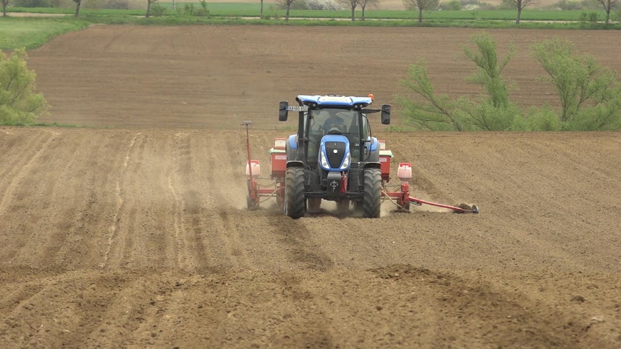 Lendületes kezdést és eredményes betakarítást várhatunk a kukoricában az IKR starter műtrágyájától
