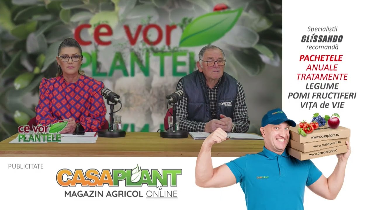 CE VOR PLANTELE CRISTINA GHIBU P1 09.02.2026
