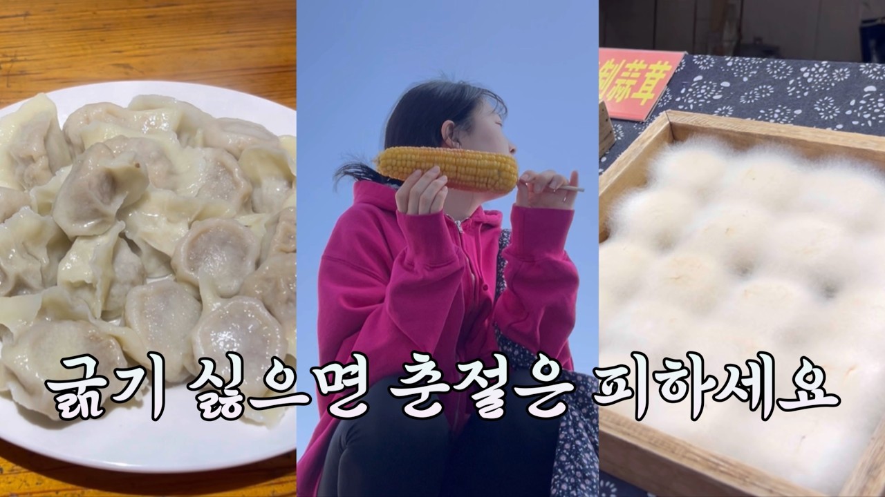 🇨🇳춘절 때 중국 가면 어떻게 되는지 보여드립니다 | 그럼에도 발견한 미친 양고기 만두 맛집 [중국지난]