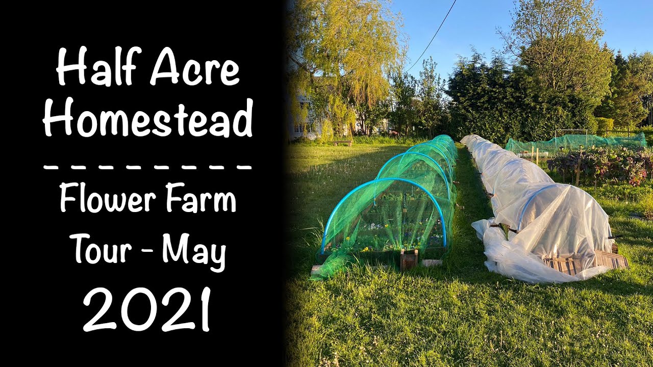 Flower Farm Tour May 2021