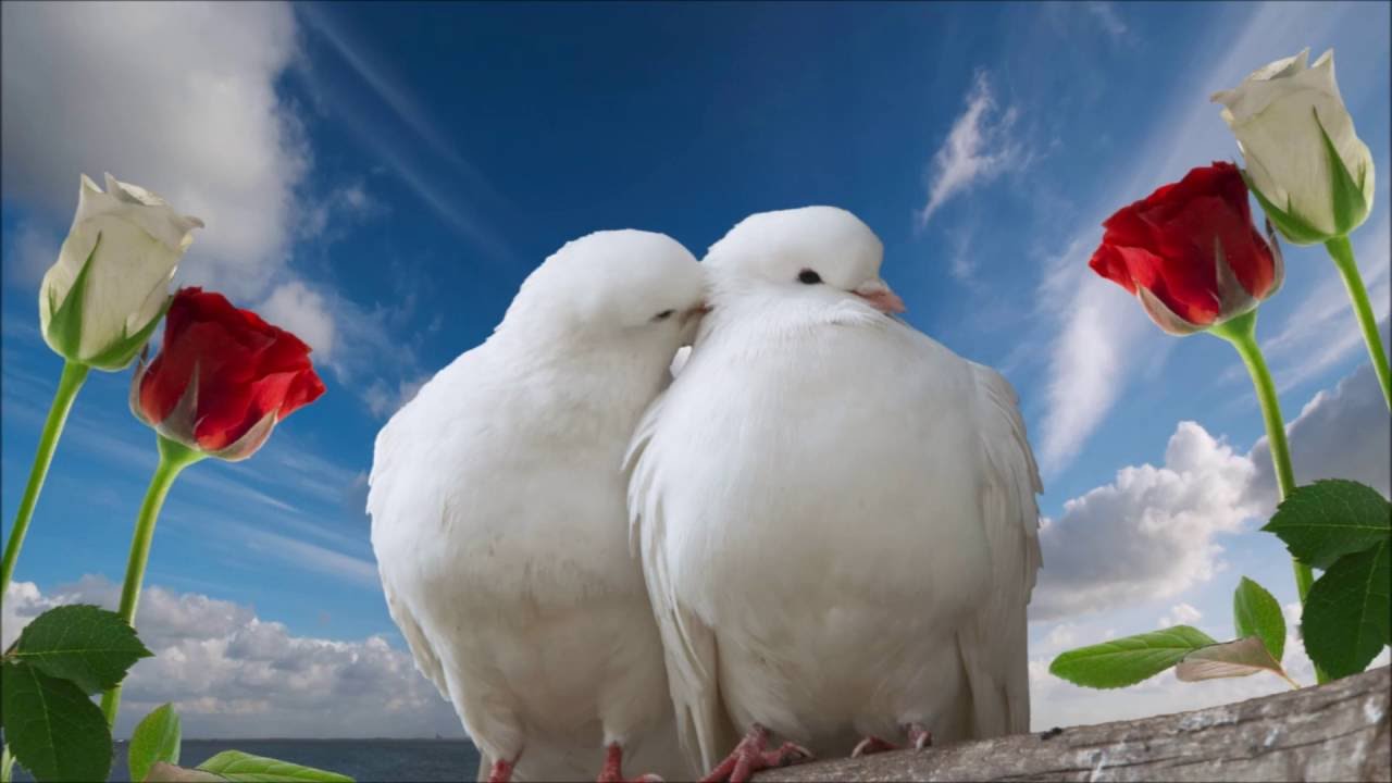 AL BANO & ROMINA POWER -- TU SOLTANTO TU ( DOAR TU )  HD 2016