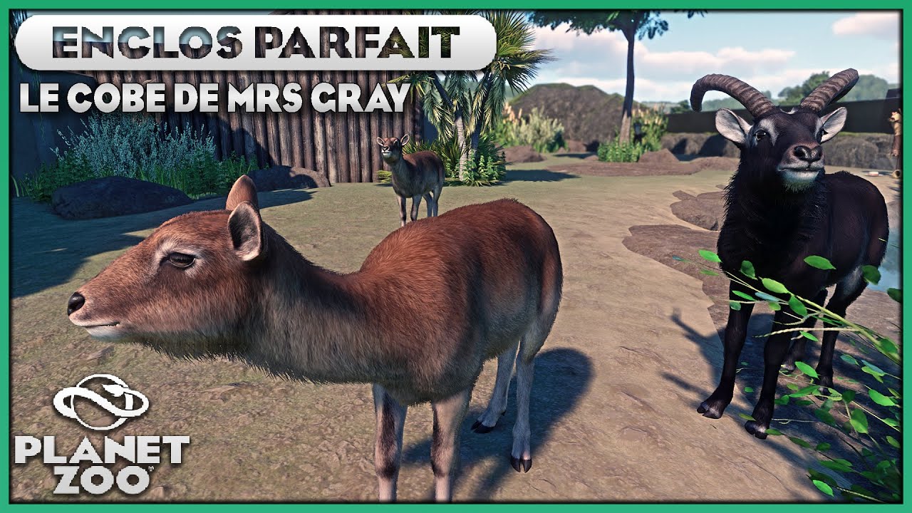Le Cobe de Mrs Gray | LES ENCLOS PARFAITS : EPISODE 84 | PLANET ZOO