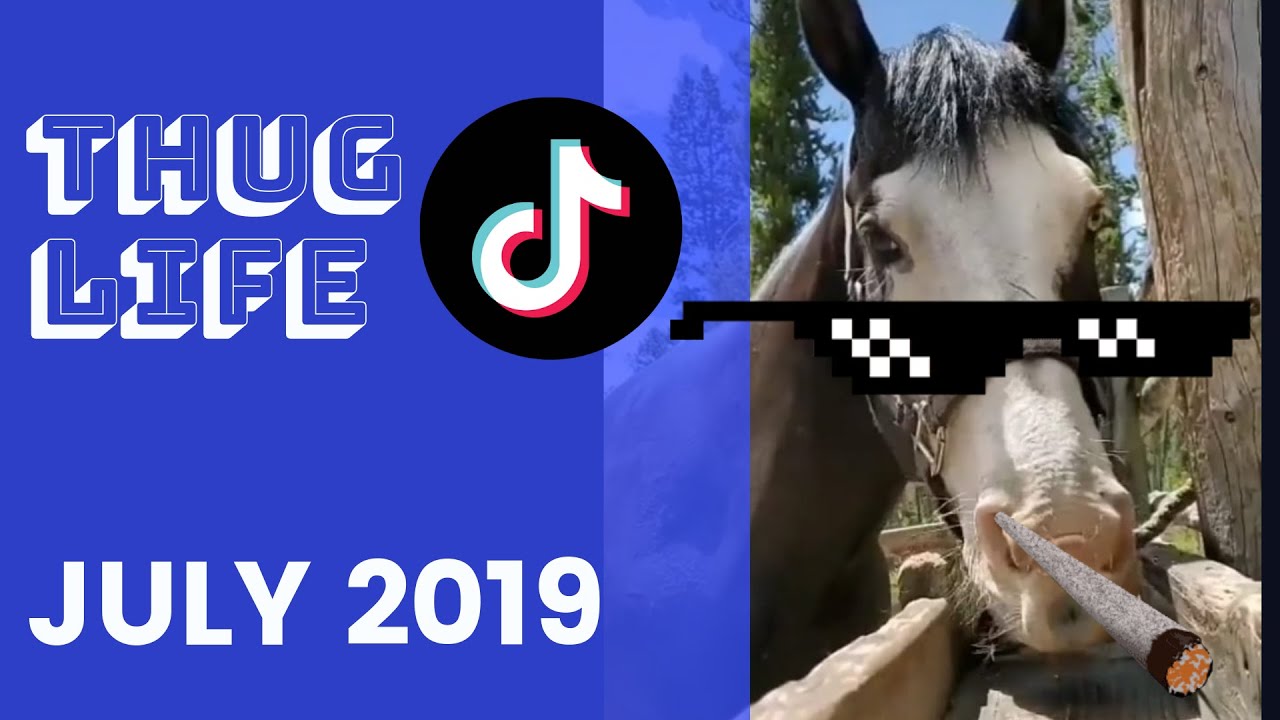 TIK TOK THUG LIFE