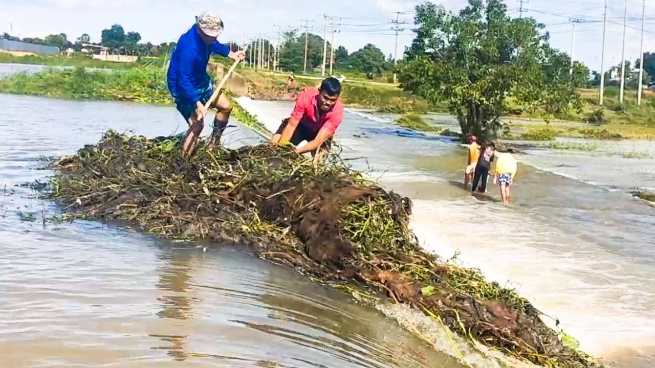 Action Remove Grass Growth Over Dam Drainage After Heavy Rain