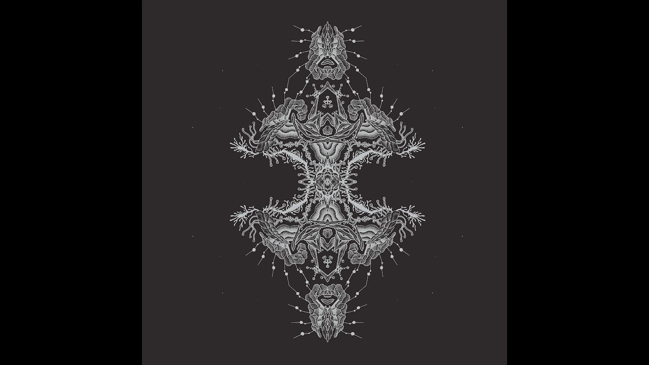Pfirter - Habitable Zone [MT40]