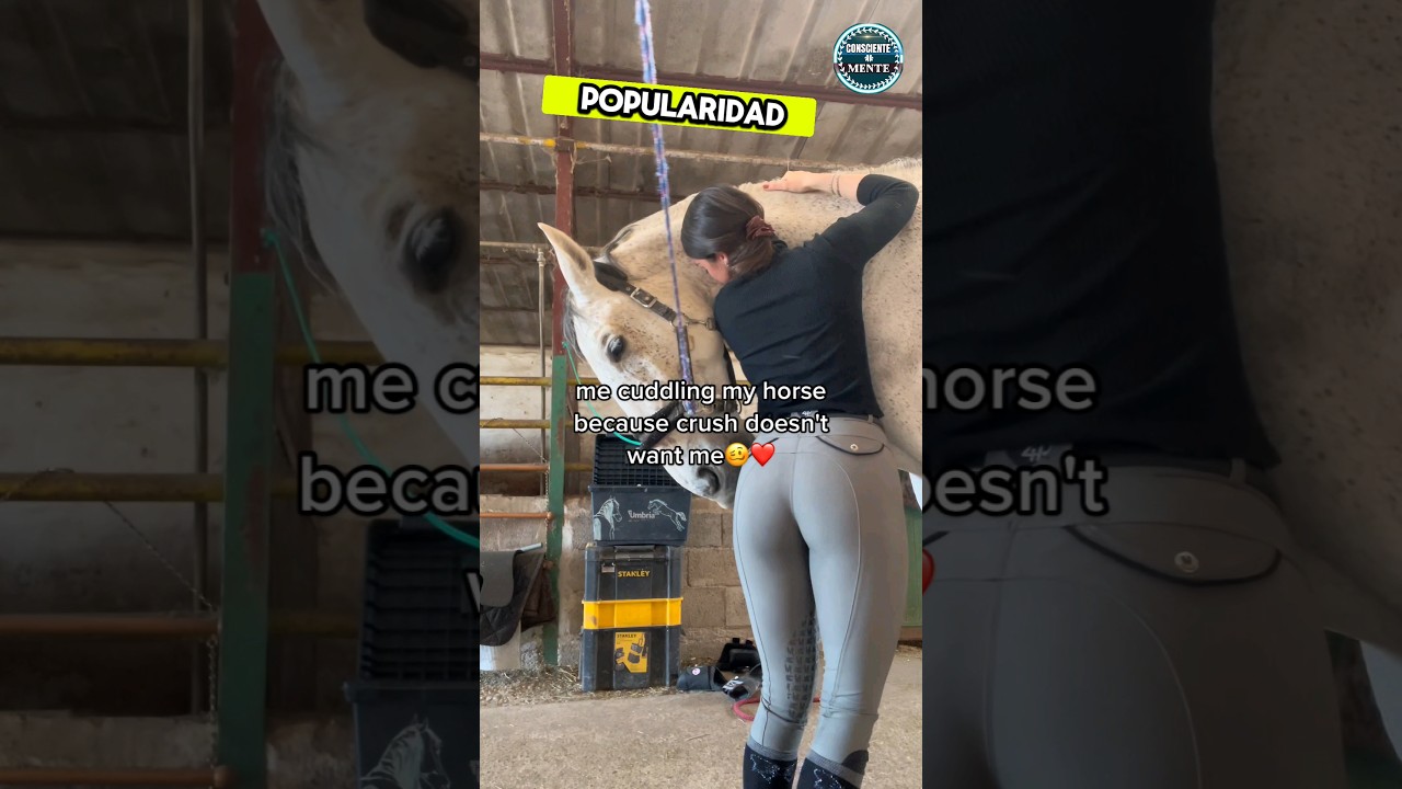 ❤️Este Caballo Consuela a su Due&ntilde;a afligida #horse #shorts #viral #curioso #india #caballos #iq