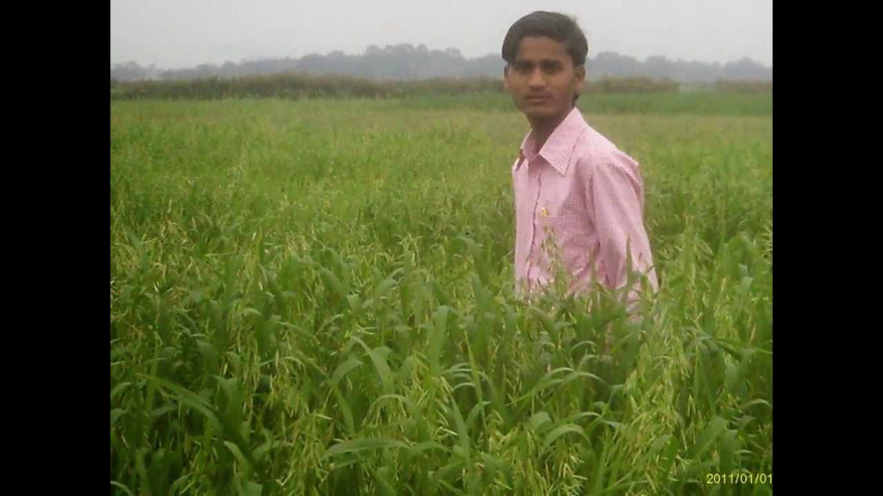 chhaurahi